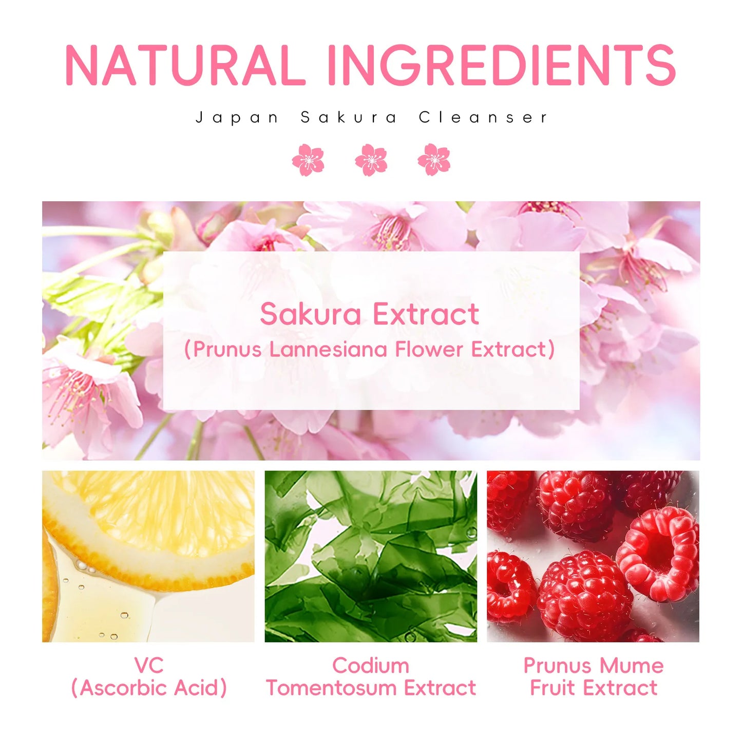 LAIKOU Sakura Cleanser 50g - Gentle Deep Cleaning & Pore Minimising